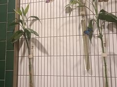 -七欣天香辣蟹火锅(南京建宁路大观天地店)