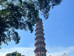 -广州莲花山旅游区