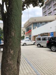 -浙江大学医学院附属儿童医院(湖滨院区)