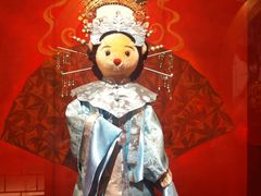 -济州岛泰迪熊博物馆