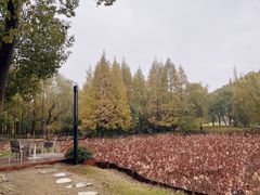 -新洲生态园