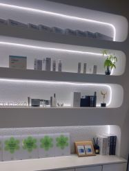 -薇薇安花系SPA