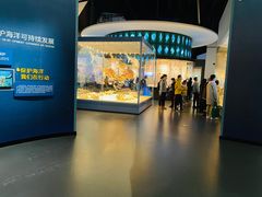 -贝林大翅鲸简餐厅(国家海洋博物馆店)