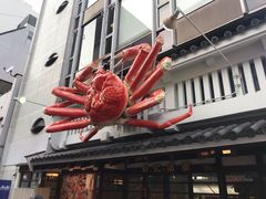 -蟹道乐(道顿堀本店)