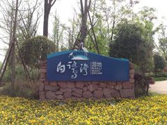 -白鹭湾湿地公园