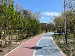 -绿堤公园
