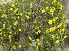 -国家植物园南园