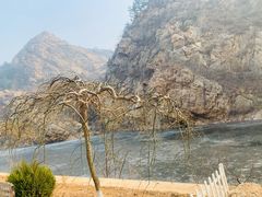 -金龙寺国家森林公园