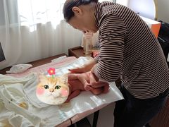 -鲸励母婴月嫂(望京店)