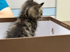-中农国际动物医院24小时·猫科·骨科·急重症中心