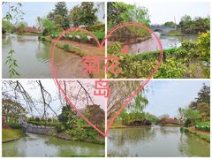 -奉浦四季生态园