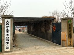 -大自然农场蔬菜草莓采摘园