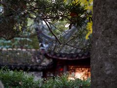 -上海醉白池公园