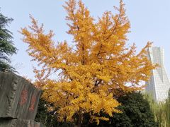 -南方迷宗大包(湖滨店)