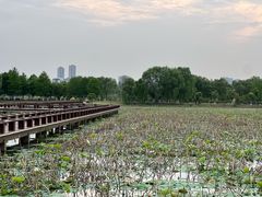 -池州市平天湖风景区