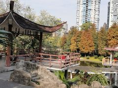 -晓港公园