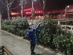 -柞水洋芋糍粑