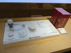 -小米之家(东方宝泰购物中心店)