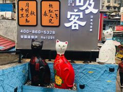 -猫咪博物馆(顶澳仔猫街店)