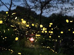 -五女山景区
