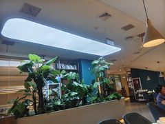 -悦海·家宴·冰花皮皮虾大锅贴(宝龙店)