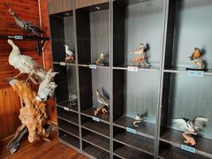 -南京金牛湖风景区