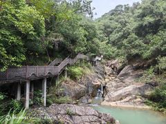 -广州白江湖森林公园