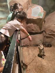 -酷嗒动物文化乐园(cutezoo西溪乐天城店)