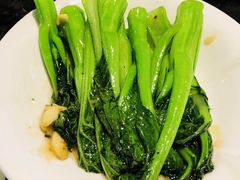 -金碧轩粤菜海鲜大酒楼