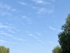 -长广溪湿地公园