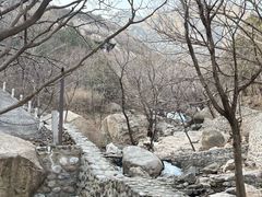 -北京凤凰岭