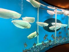 -碧涛阁水世界酒店·洗浴·自助(万家丽路店)