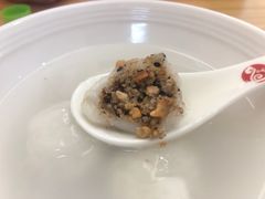 -海丝金凤(金鱼店)