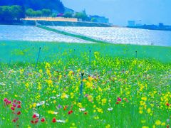 -光明小镇欢乐田园