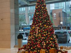 -上海大宁福朋喜来登酒店大堂吧(共和新路店)