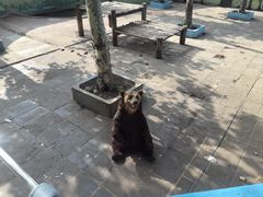 -西霞口神雕山野生动物世界