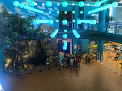 -幸福花欢乐世界(东辰广场A座店)