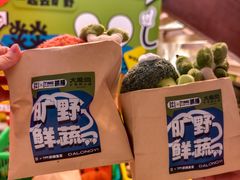 -大龙燚·旷野鲜火锅(广州首店)