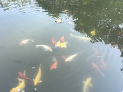 -广州神农草堂中医药博物馆