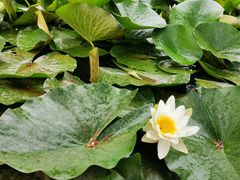 -青州市云门山风景区