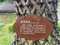 -朴园
