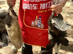 -坛南湾阿强农家乐.海鲜大排档老字号(福州地标美食店)