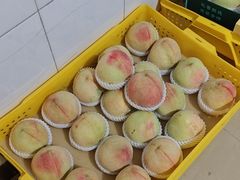 -老袁家蜜桃农场·阳山水蜜桃