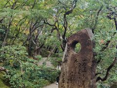 -常寂光寺