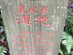 -保利石象湖景区