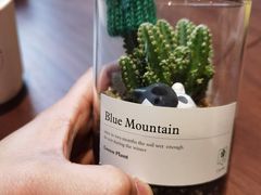 -Fridi Patisserie Cafe