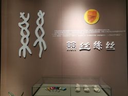 点击看大图 -太湖雪蚕桑文化园