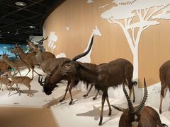 -陕西自然博物馆