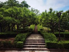 -元大都城垣遗址公园