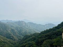 -大岭沟猕猴桃谷风景区